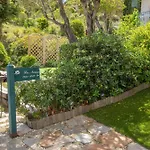 Restanques De Saint Tropez - Arums